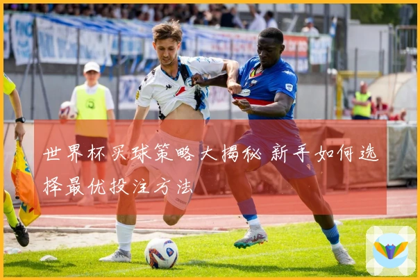世界杯买球策略大揭秘 新手如何选择最优投注方法