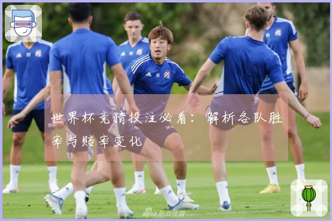 世界杯竞猜投注必看：解析各队胜率与赔率变化