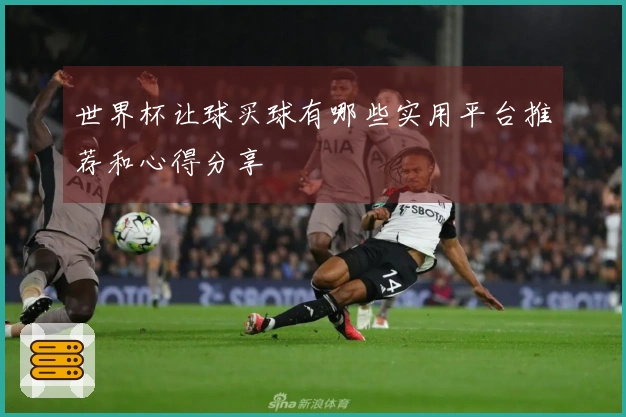 世界杯让球买球有哪些实用平台推荐和心得分享