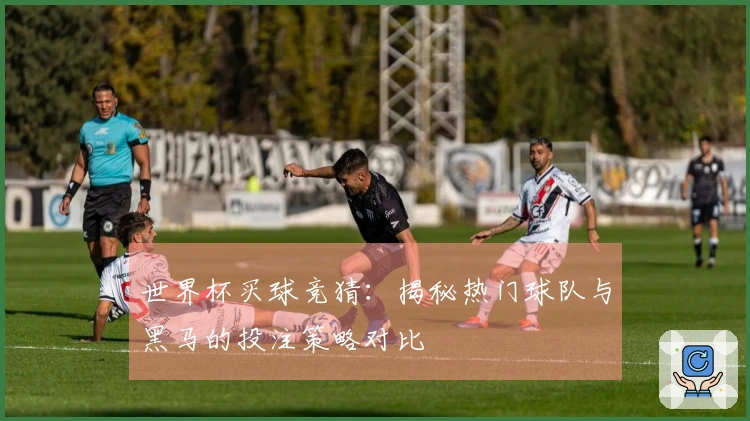 世界杯买球竞猜：揭秘热门球队与黑马的投注策略对比