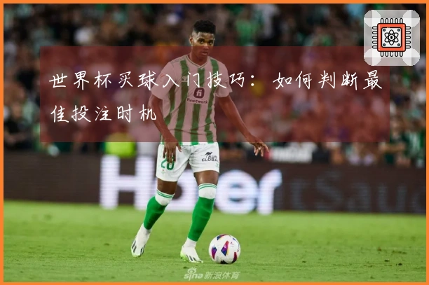 世界杯买球入门技巧：如何判断最佳投注时机