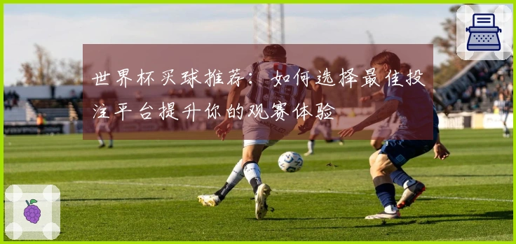 世界杯买球推荐：如何选择最佳投注平台提升你的观赛体验