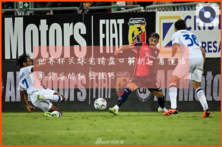 世界杯买球竞猜盘口解析：看懂赔率背后的秘密技巧