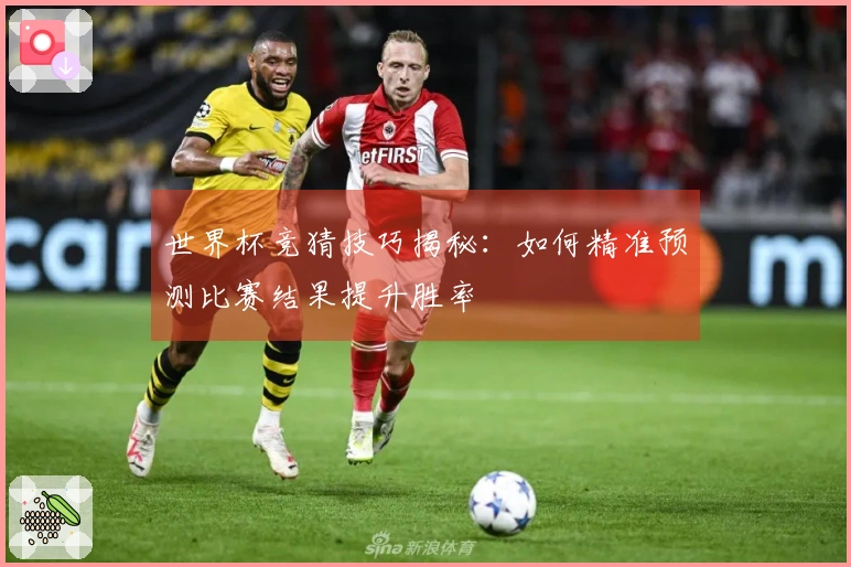 世界杯竞猜技巧揭秘：如何精准预测比赛结果提升胜率