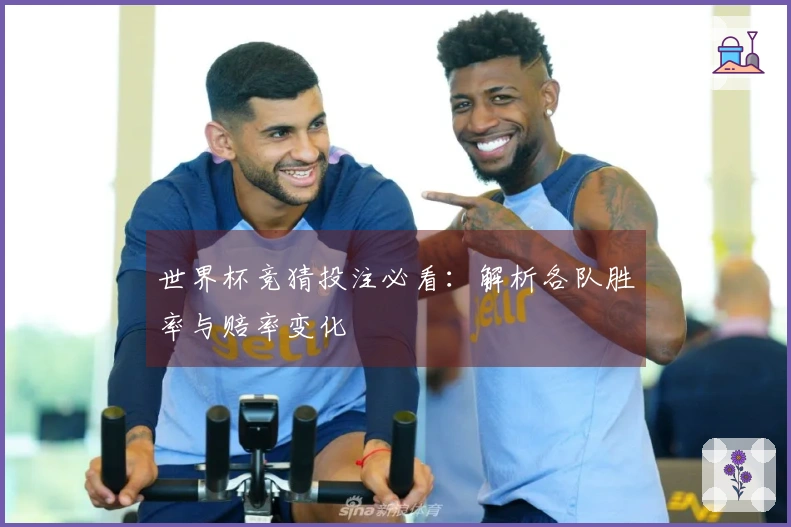 世界杯竞猜投注必看：解析各队胜率与赔率变化