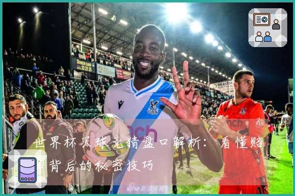 世界杯买球竞猜盘口解析：看懂赔率背后的秘密技巧