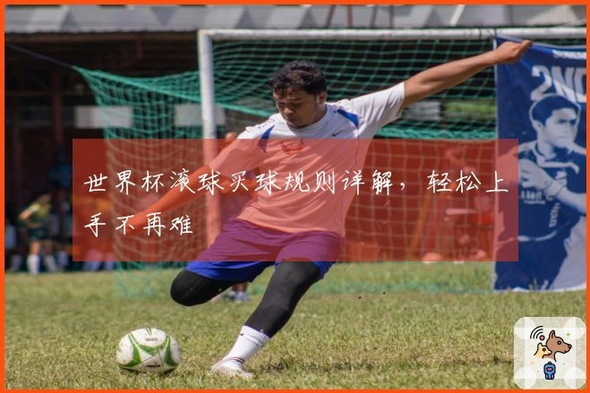 世界杯滚球买球规则详解，轻松上手不再难