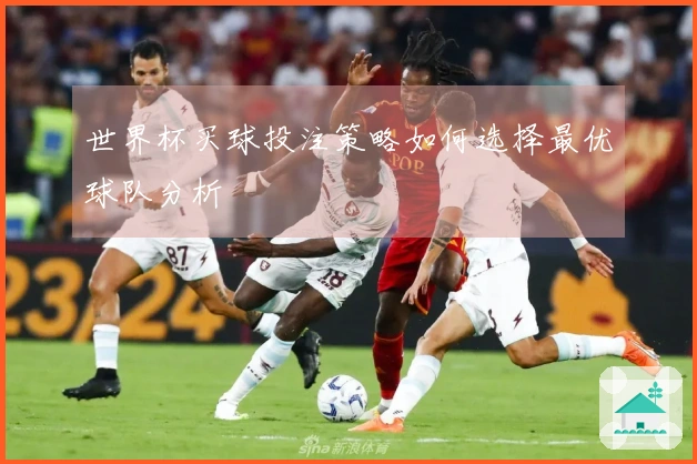 世界杯买球投注策略如何选择最优球队分析