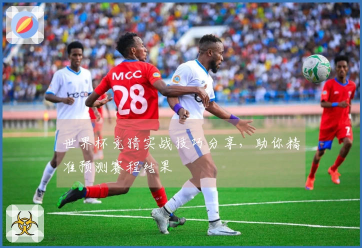 世界杯竞猜实战技巧分享，助你精准预测赛程结果