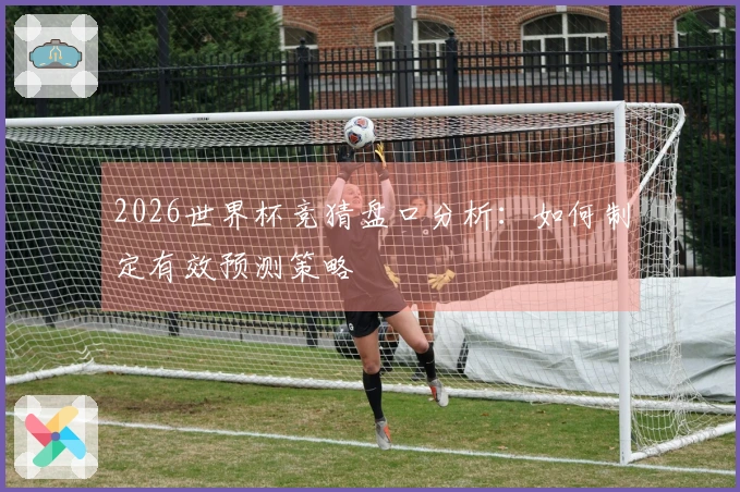 2026世界杯竞猜盘口分析：如何制定有效预测策略