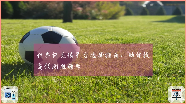 世界杯竞猜平台选择指南，助你提高预测准确率