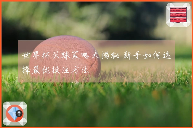 世界杯买球策略大揭秘 新手如何选择最优投注方法