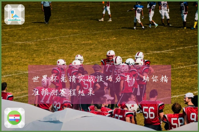 世界杯竞猜实战技巧分享，助你精准预测赛程结果